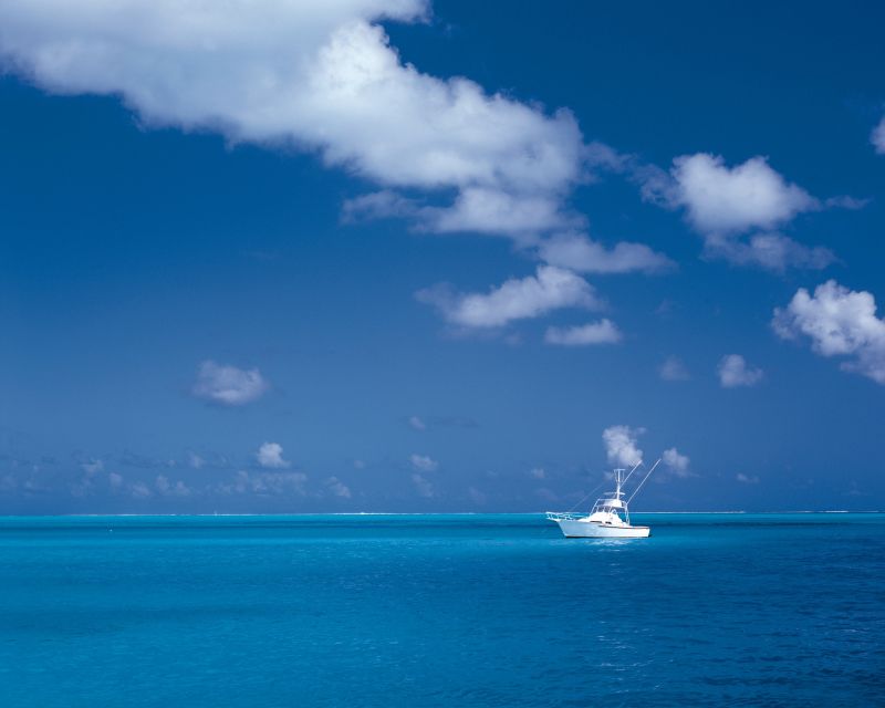 pompano